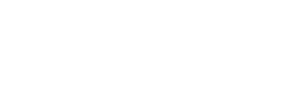 HIBS Governance Architecture